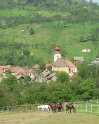 Sajómercse