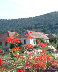 Sajómercse